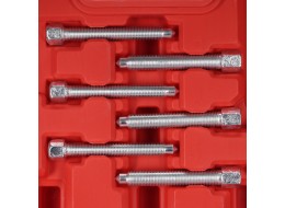 Set universale per lo smontaggio dei cuscinetti MECHANIC BEARING PULLER 7, 31 pezzi