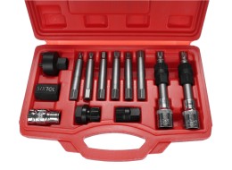Set per lo smontaggio delle pulegge MECHANIC PULLEY SET 1, 13 pezzi