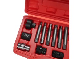 Set per lo smontaggio delle pulegge MECHANIC PULLEY SET 1, 13 pezzi