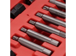 Set per montaggio e smontaggio delle pulegge dell'alternatore MECHANIC PULLEY SET 3, 24 pz