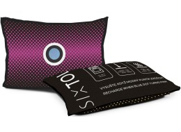 Set di cuscini deumidificatori per auto DRY CAR 2 x 350 g