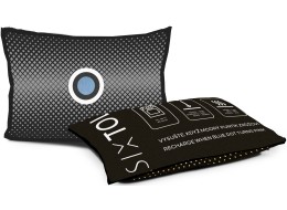 Set di cuscini deumidificatori per auto DRY CAR 2 x 350 g