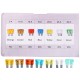 Set di fusibili a lama per auto MECHANIC FUSE SET 1, 5-30A, 120 pz