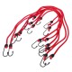 Set di cinghie elastiche/cordini elastici CARGO CORD SET BASIC 8, 8 pz