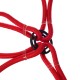 Fasce elastiche / elastici a ragno CARGO CORD SPIDER BASIC 120, 120 cm, 8 bracci